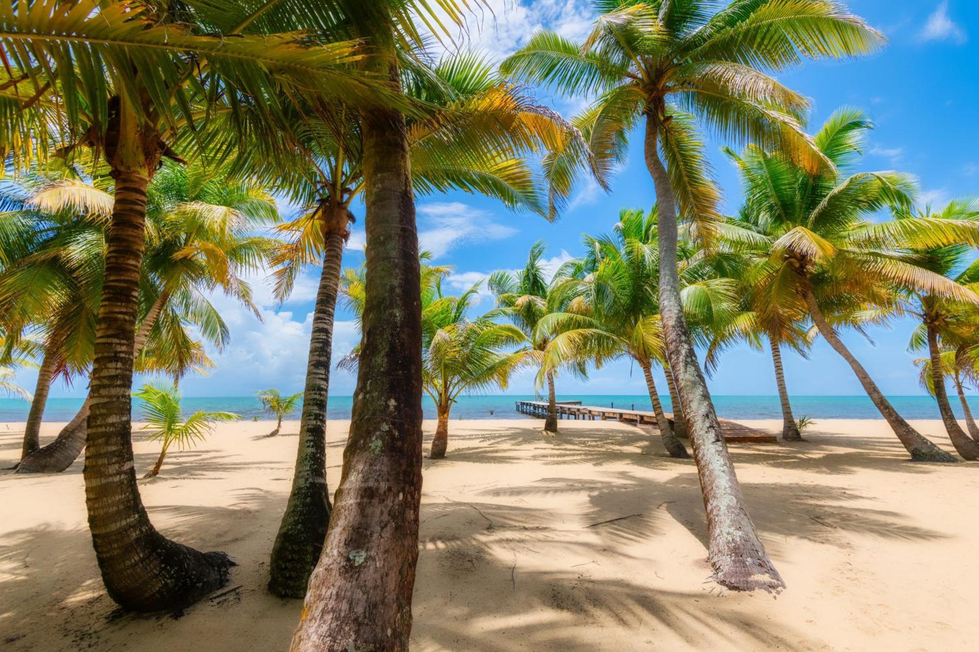 Sabal Beach Punta Gorda Ngoại thất bức ảnh